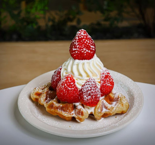 카페달곰이 전주한옥마을맛집 탐방 후 들르기 좋은 이유