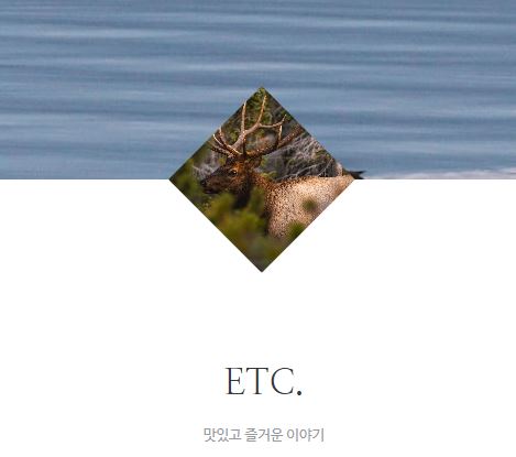 태상의 미니샵에서 발견하는 프리라이프 콘텐츠의 특징